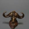 Cape Buffalo Skull
$175.00